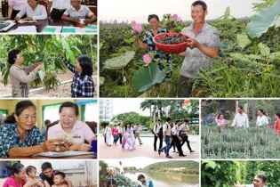 Chất lượng hoạt động tín dụng chính sách vùng Tây Nam Bộ khởi sắc