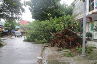 Thanh Hóa: Gần 300 ngôi nhà bị tốc mái, hàng nghìn héc-ta hoa màu bị ngập úng do bão số 2