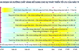 Dinh dưỡng vàng cho phát triển tối ưu não bộ trong những năm tháng đầu đời