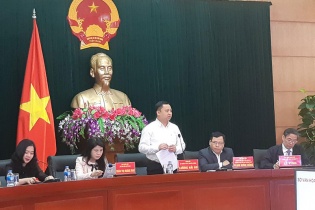 7.000 cành hoa anh đào Nhật Bản được trưng bày tại Hải Phòng