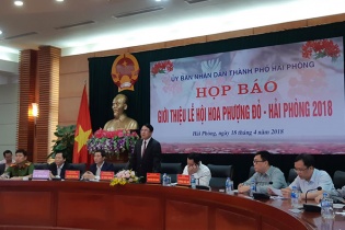 Chốt thời gian tổ chức Lễ hội Hoa phượng đỏ - Hải Phòng 2018