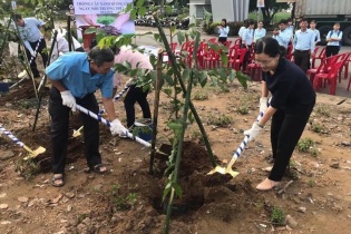 BQL các khu chế xuất và KCN Cần Thơ tổ chức nhiều hoạt động thiết thực bảo vệ môi trường