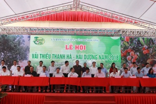 Náo nhiệt Lễ hội Vải thiều Thanh Hà - Hải Dương lần thứ nhất 2018