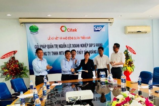 Thủy sản Hoàng Long ứng dụng SAP S/4HANA 