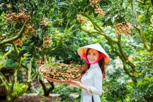 Rộn ràng phiên chợ nhãn lồng Hưng Yên tại Ecopark