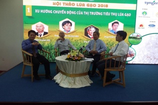 Sản xuất và xuất khẩu gạo Việt Nam trong giai đoạn mới còn nhiều thách thức