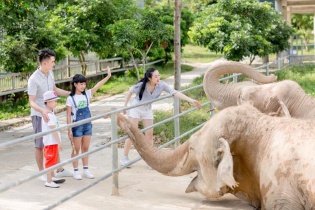 Tổ ấm của hơn 2000 động vật hoang dã ở vườn thú lớn nhất bắc trung bộ