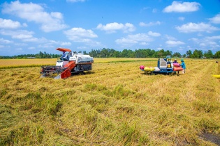 Cà Mau phê duyệt kế hoạch hành động bảo đảm an toàn thực phẩm