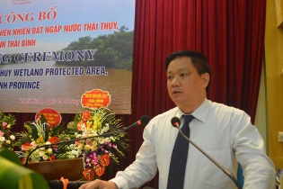 Thái Bình: Thành lập Khu Bảo tồn thiên nhiên đất ngập nước Thái Thụy