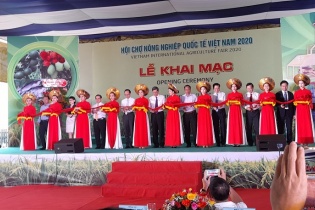 250 gian hàng tham gia Hội chợ Nông nghiệp Quốc tế tại Cần Thơ