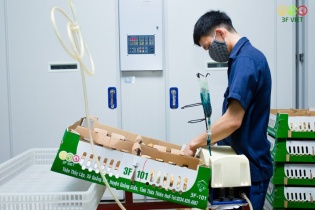 Masan MEATLife đã sở hữu 51% Công ty 3F VIỆT, mở rộng hoạt động sang thị trường thịt gia cầm