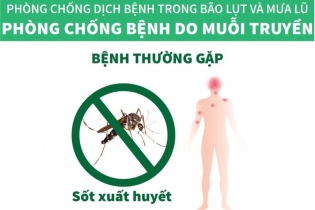 Phòng bệnh sốt xuất huyết sau mùa mưa lũ