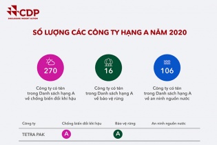 Tetra Pak tích cực chống biến đổi khí hậu và bảo vệ rừng