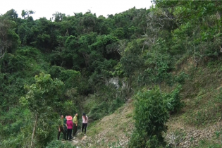 Khánh Hòa xin chuyển đổi hơn 7 ha rừng thực hiện Dự án hồ Chà Rang