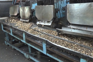 Công ty TNHH Quang Sơn xả thải trái phép gây ô nhiễm môi trường