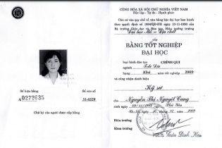 Sử dụng bằng đại học giả để xin cấp chứng chỉ hành nghề hoạt động xây dựng