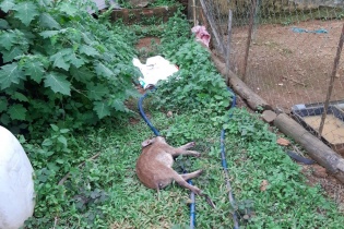 Hàng loạt cơ quan tại huyện Tu Mơ Rông (Kon Tum) chi tiêu sai phạm