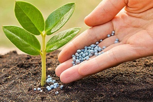 Tình trạng buôn bán phân bón giả ở Lâm Đồng chưa được kiểm soát