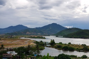 Rừng tự nhiên của các công ty lâm nghiệp phải tạm dừng khai thác đang chờ... chính sách
