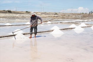 Vi phạm tiến độ sử dụng đất, Công ty Muối Khánh Hòa được… gia hạn tiến độ