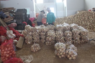 Nông dân Lâm Đồng kiến nghị tỉnh kêu gọi doanh nghiệp đầu tư nhà máy chế biến nông sản