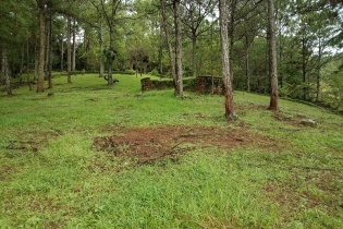 Lâm Đồng “cạn” quỹ đất trồng rừng thay thế