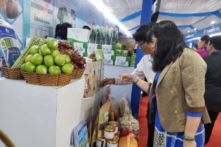 Bình Định hỗ trợ pháp lý liên ngành cho doanh nghiệp vừa và nhỏ