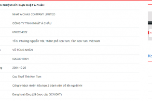 Công ty TNHH Nhật Á Châu bị Kon Tum cấm tham gia đấu thầu trong 4 năm