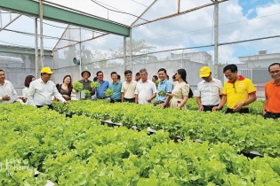Lâm Đồng hỗ trợ doanh nghiệp nhỏ và vừa trong lĩnh nông nghiệp