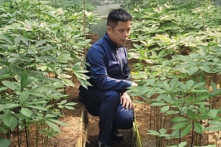 Quảng Nam hoàn chỉnh, trình Đề án Phát triển, hình thành Trung tâm công nghiệp dược liệu