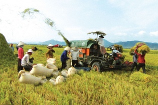 Xây dựng cơ chế thúc đẩy phát triển logistics phục vụ sản xuất, kinh doanh nông nghiệp