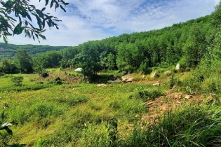 Quảng Nam chuyển mục đích gần 17 ha rừng để mở rộng Khu công nghiệp Tam Thăng