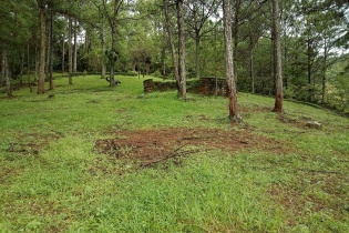 Lâm Đồng kiểm tra các dự án đầu tư liên quan đến rừng