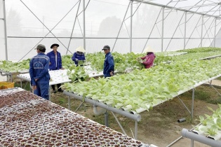 Đà Nẵng đầu tư hơn 56 tỷ đồng nâng cấp Trung tâm Công nghệ sinh học