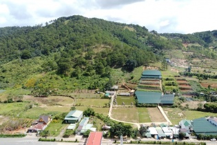 Mời loạt “ông lớn” quốc tế xây dựng chiến lược phát triển cao nguyên Di Linh