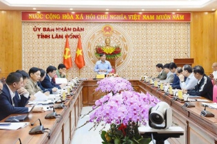 Lâm Đồng yêu cầu thực hiện đúng quy trình, quy định các dự án điện mặt trời
