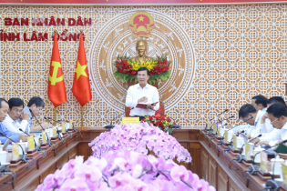 Lâm Đồng thống nhất thông qua 24 dự án đầu tư công trình duyệt chủ trương đầu tư