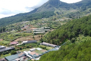 WVI đề xuất Dự án Thúc đẩy chuỗi cung ứng cà phê không gây mất rừng tại Lâm Đồng