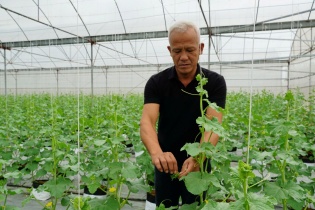 Hưng Yên: OCOP viết tiếp hành trình nâng tầm nông sản địa phương