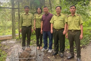 Hưng Yên siết chặt bảo vệ động vật hoang dã, hình thành “lá chắn sinh thái” bền vững