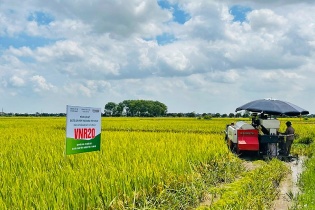 Hà Nội: Phát triển hợp tác xã gắn với tái cơ cấu nông nghiệp, nông thôn