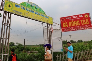 Cả nước có hơn 6.000 xã đạt chuẩn nông thôn mới, đạt hơn 73%