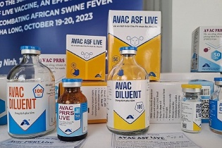 Việt Nam xuất khẩu vắc-xin dịch tả lợn châu Phi sang 5 quốc gia