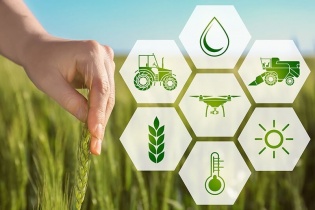 Hà Nội: Phấn đấu tăng tỷ lệ cung ứng nông sản thực phẩm đạt 50%