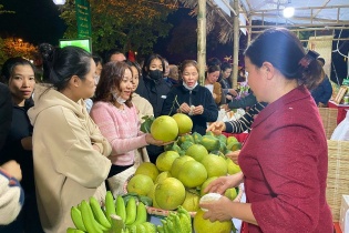 Hơn 1.000 sản phẩm nông sản tại "Festival nông sản, ẩm thực, du lịch huyện Đan Phượng 2023"