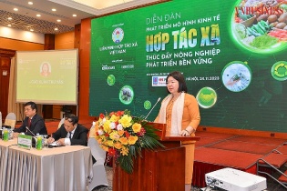 Tạo nguồn lực giúp hợp tác xã nông nghiệp phát triển bền vững