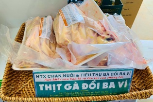 Phát triển chăn nuôi bền vững theo hướng tăng trưởng xanh