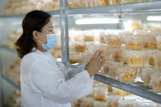 Nông dân Hà Nội thi đua tích cực làm giàu