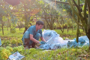 Định hướng phát triển hợp tác xã nông nghiệp trong bối cảnh mới