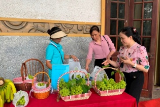 Doanh nghiệp cùng nông dân liên kết trong sản xuất và tiêu thụ nông sản